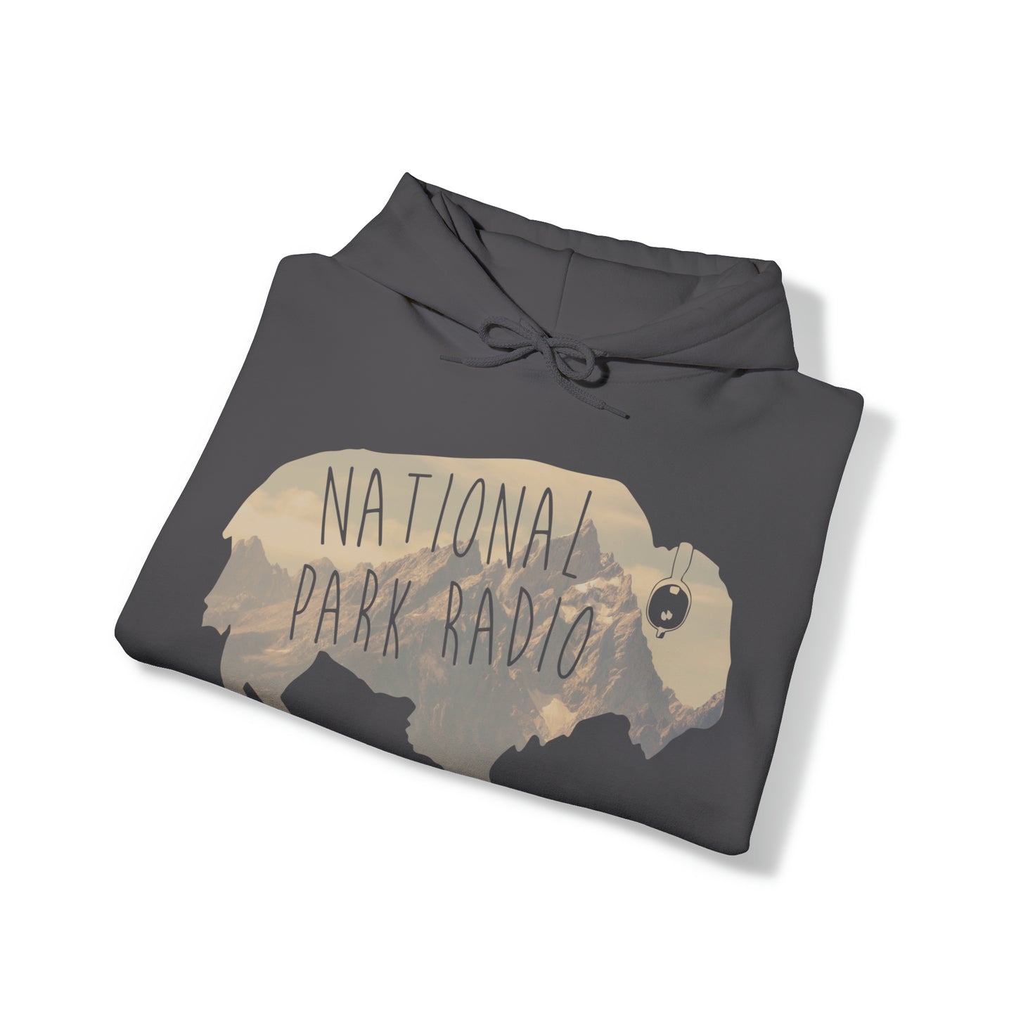 NPR Mountain Buffalo Hoodie