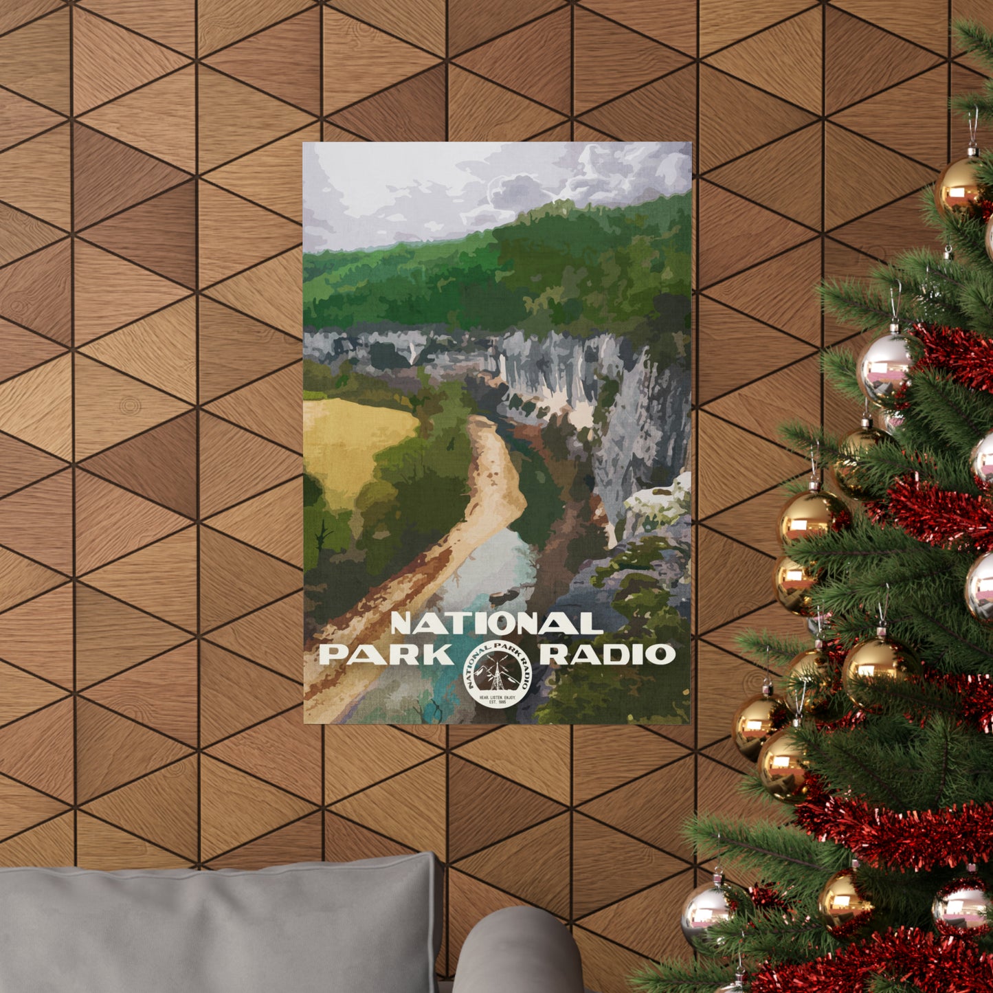 Original *Vintage* National Park Radio Poster - Steel Creek, Buffalo National River, 2017