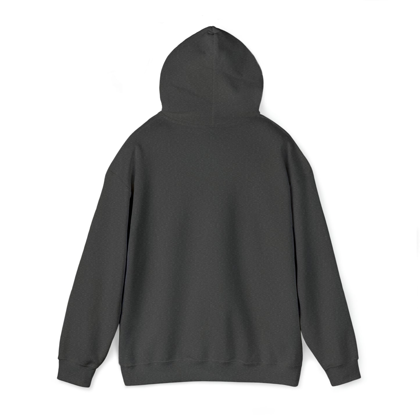 NPR Grand Teton Layers Hooded Sweatshirt