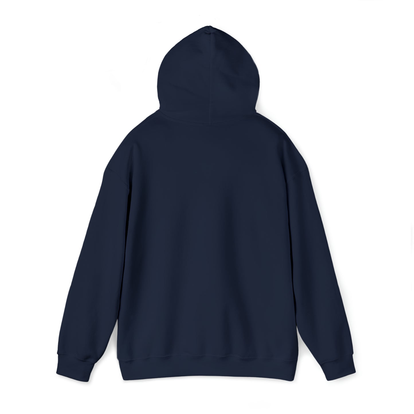 NPR Classic Buffalo Hoodie