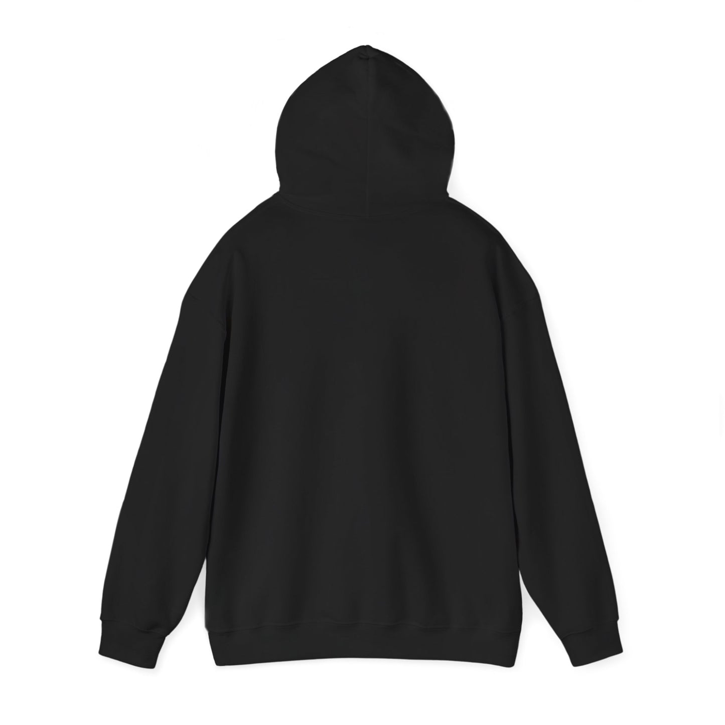 NPR Grand Teton Layers Hooded Sweatshirt