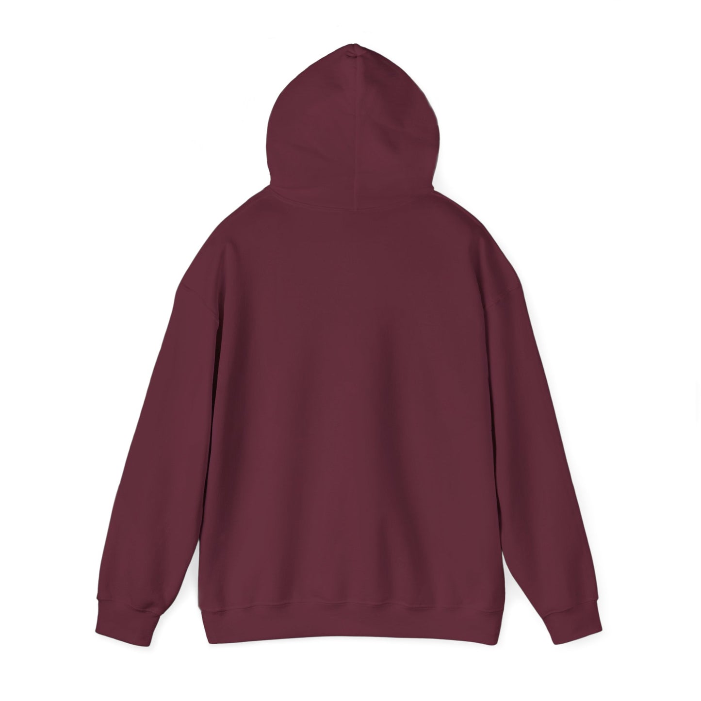 NPR Grand Teton Layers Hooded Sweatshirt