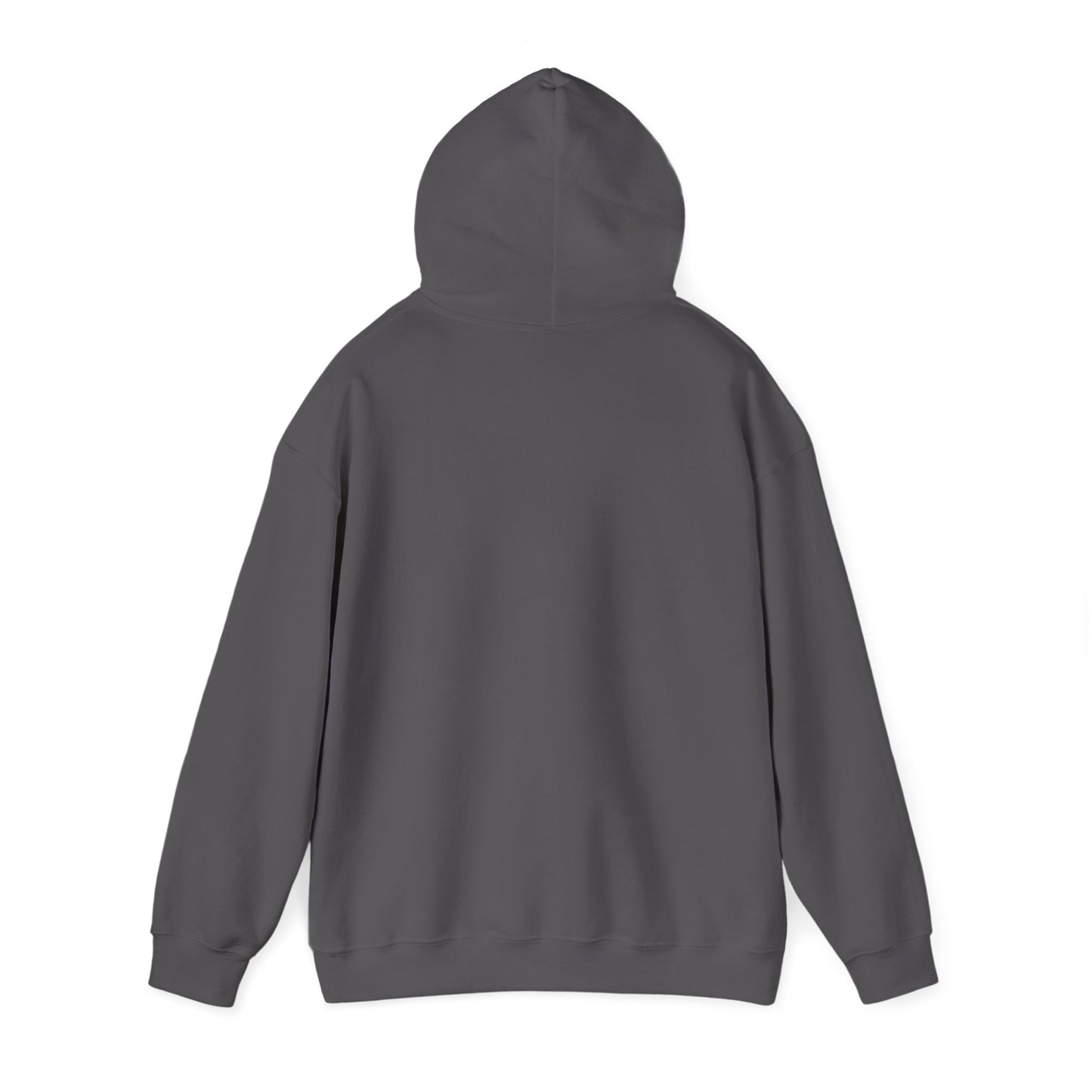 NPR Retro Hooded Sweatshirt