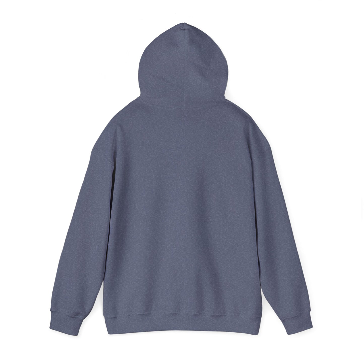 NPR Retro Hooded Sweatshirt