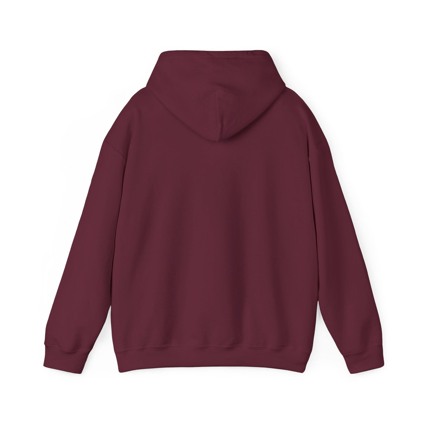 NPR Grand Teton Layers Hooded Sweatshirt