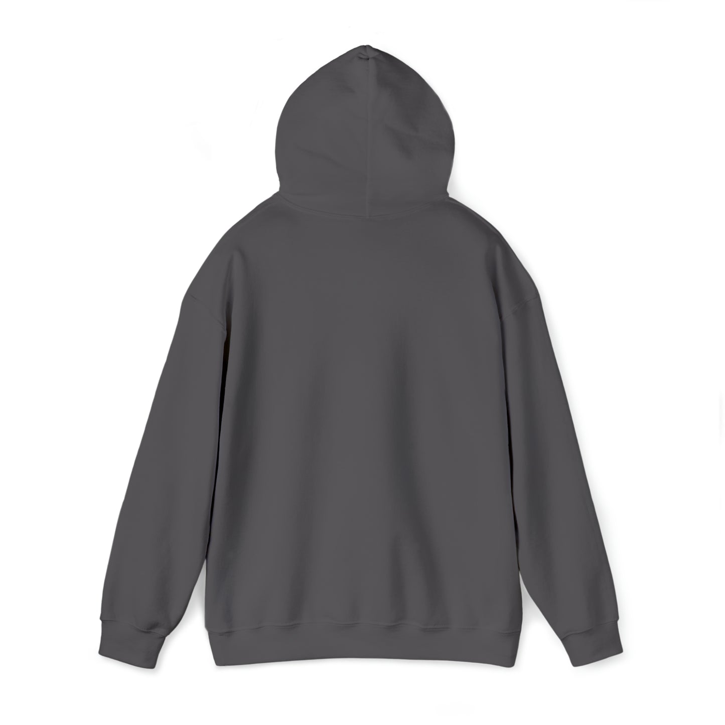 NPR Sunset Hooded Sweatshirt